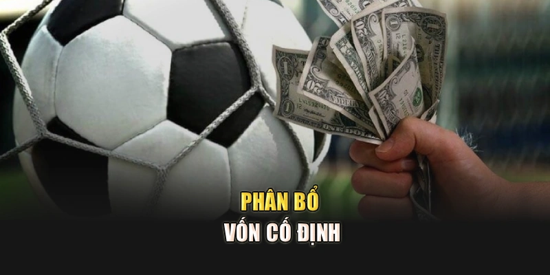 Phân bổ vốn cố định